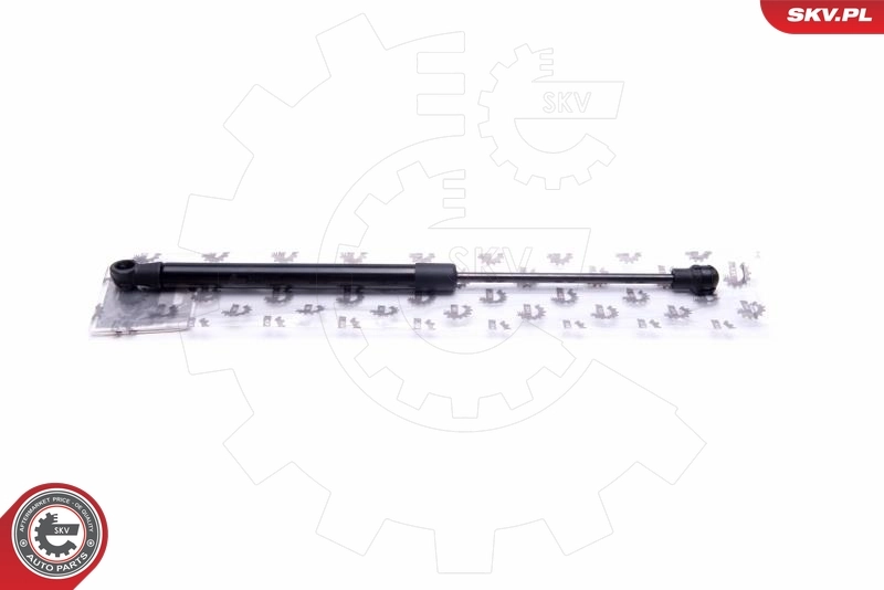 Gas Spring, boot/cargo area